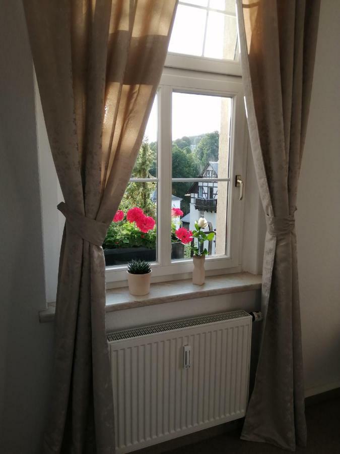 Pension Haus Zedtwitz Bad Elster Exteriör bild